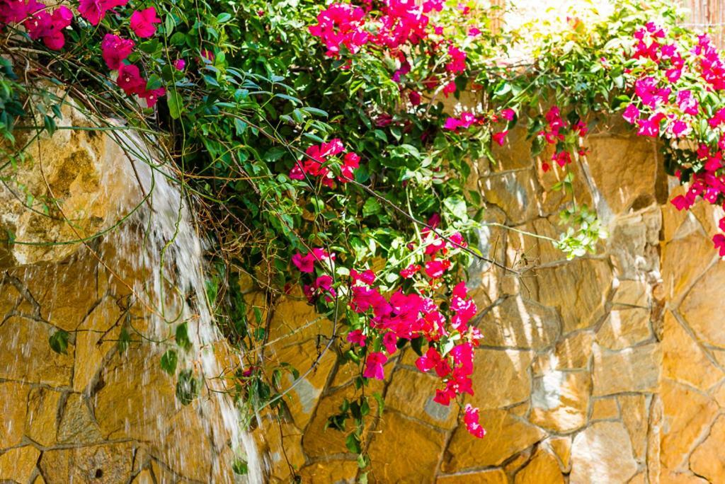 Bright Villa With Salt Water Pool El Campello Exteriör bild